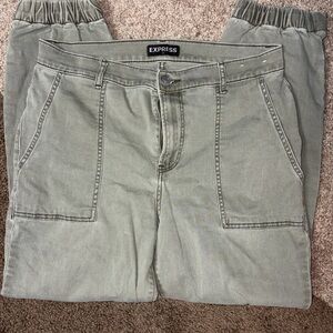 Express Men's Cargo Pants in Sage Green